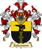 German Coat of Arms (v.25b) Salzmann