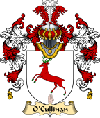 Irish Family Coat of Arms (v.25a) O