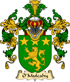 Irish Family Coat of Arms (v.25a) O
