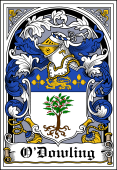 Irish Coat of Arms Bookplate for O