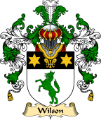 Irish Family Coat of Arms (v.25a) Wilson II