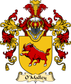 Irish Family Coat of Arms (v.25a) O