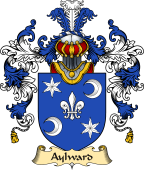 Irish Family Coat of Arms (v.25a) Aylward