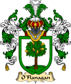 Irish Family Coat of Arms (v.25a) O