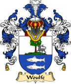 Irish Family Coat of Arms (v.25a) Woulfe