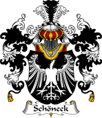 German Wappen Coat of Arms (v.25) Schöneck