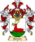Irish Family Coat of Arms (v.25a) Bowen