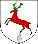 Irish Family Shield for O