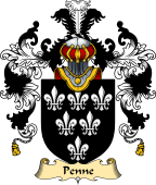 Irish Family Coat of Arms (v.25a) Penne