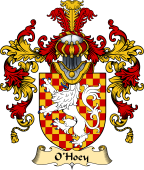 Irish Family Coat of Arms (v.25a) O