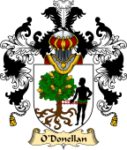 Irish Family Coat of Arms (v.25a) O