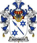 Irish Family Coat of Arms (v.25b) Auchmuty