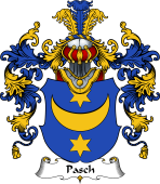 German Wappen Coat of Arms (v.25) Pasch