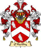 Irish Family Coat of Arms (v.25a) O