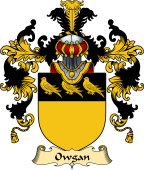 Irish Family Coat of Arms (v.25a) Owgan