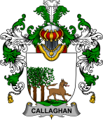 Irish Family Coat of Arms (v.25b) Callaghan or O