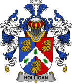Irish Family Coat of Arms (v.25b) Holligan or O