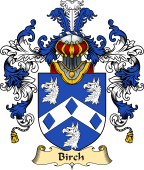 Irish Family Coat of Arms (v.25a) Birch