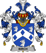 Irish Family Coat of Arms (v.25b) Birch
