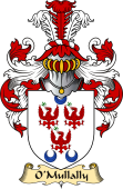 Irish Family Coat of Arms (v.23) for O