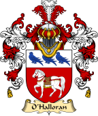 Irish Family Coat of Arms (v.25a) O