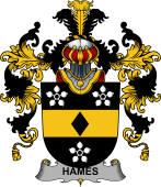 Irish Family Coat of Arms (v.25b) Hames