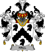 Irish Family Coat of Arms (v.25b) Hall or MacHall