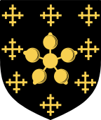 Irish Family Shield for Best