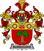 Irish Family Coat of Arms (v.25b) Burroughs