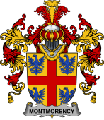 Irish Family Coat of Arms (v.25b) Montmorency