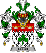 Irish Family Coat of Arms (v.25b) Leech