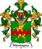 Italian Family Coat of Arms (v.25b) Montagna