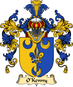 Irish Family Coat of Arms (v.25a) O