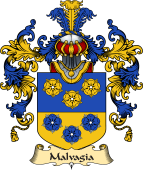 Italian Family Coat of Arms (v.25a) Malvagia