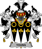 Irish Family Coat of Arms (v.25b) Young