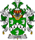 Irish Family Coat of Arms (v.25b) Lloyd