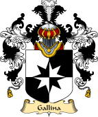 Italian Family Coat of Arms (v.25a) Gallina