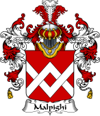 Italian Family Coat of Arms (v.25b) Malpighi
