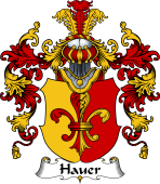 German Wappen Coat of Arms (v.25) Hauer