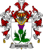 Irish Family Coat of Arms (v.25b) Webster