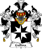 Italian Family Coat of Arms (v.25b) Gallina