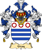 Irish Family Coat of Arms (v.25a) Gray