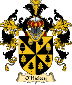 Irish Family Coat of Arms (v.25a) O'Hickey II