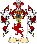 Italian Family Coat of Arms (v.25a) Silva
