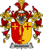 Irish Family Coat of Arms (v.25b) Branigan or O'Branagan