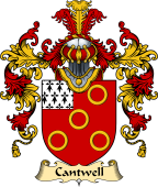 Irish Family Coat of Arms (v.25a) Cantwell