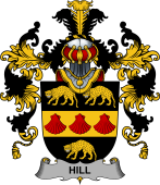 Irish Family Coat of Arms (v.25b) Hill