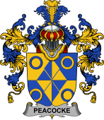 Irish Family Coat of Arms (v.25b) Peacocke