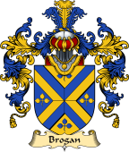 Irish Family Coat of Arms (v.25a) Brogan or O'Brogan