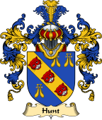 Irish Family Coat of Arms (v.25a) Hunt